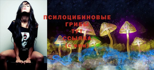 мескалин Алексин