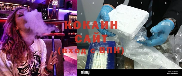 дмт Алзамай