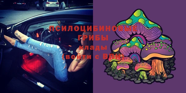мескалин Алексин